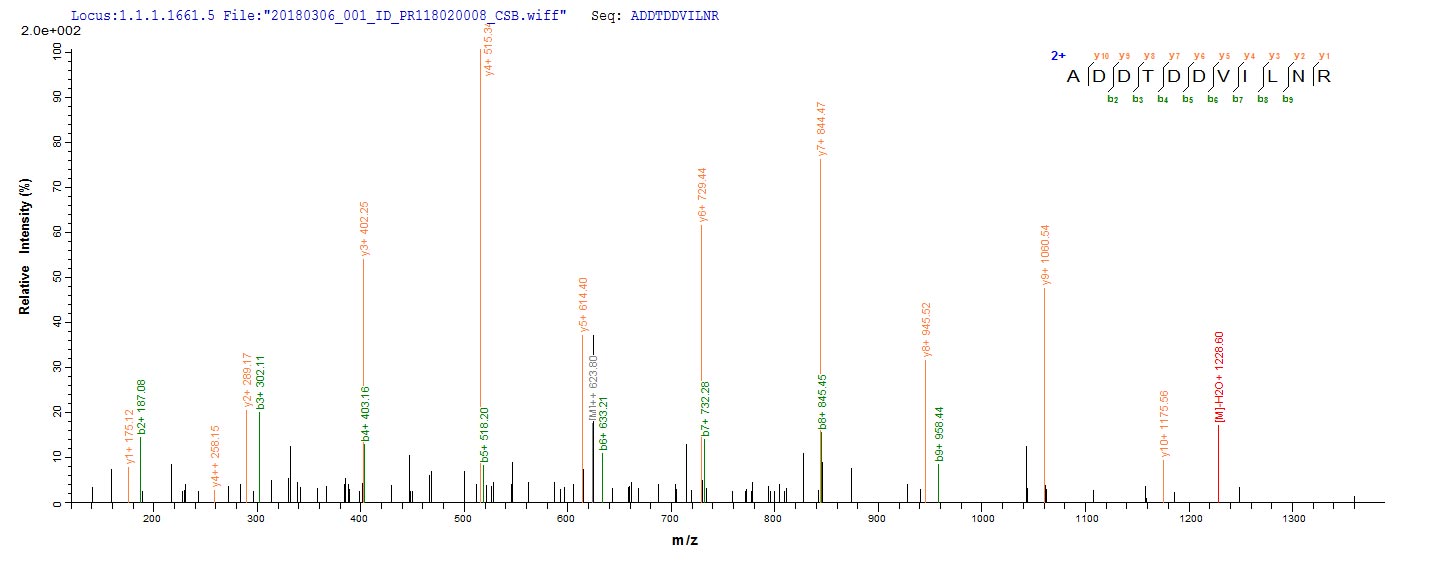 LC-MS Analysis 1- Recombinant protein Mycobacterium adk
