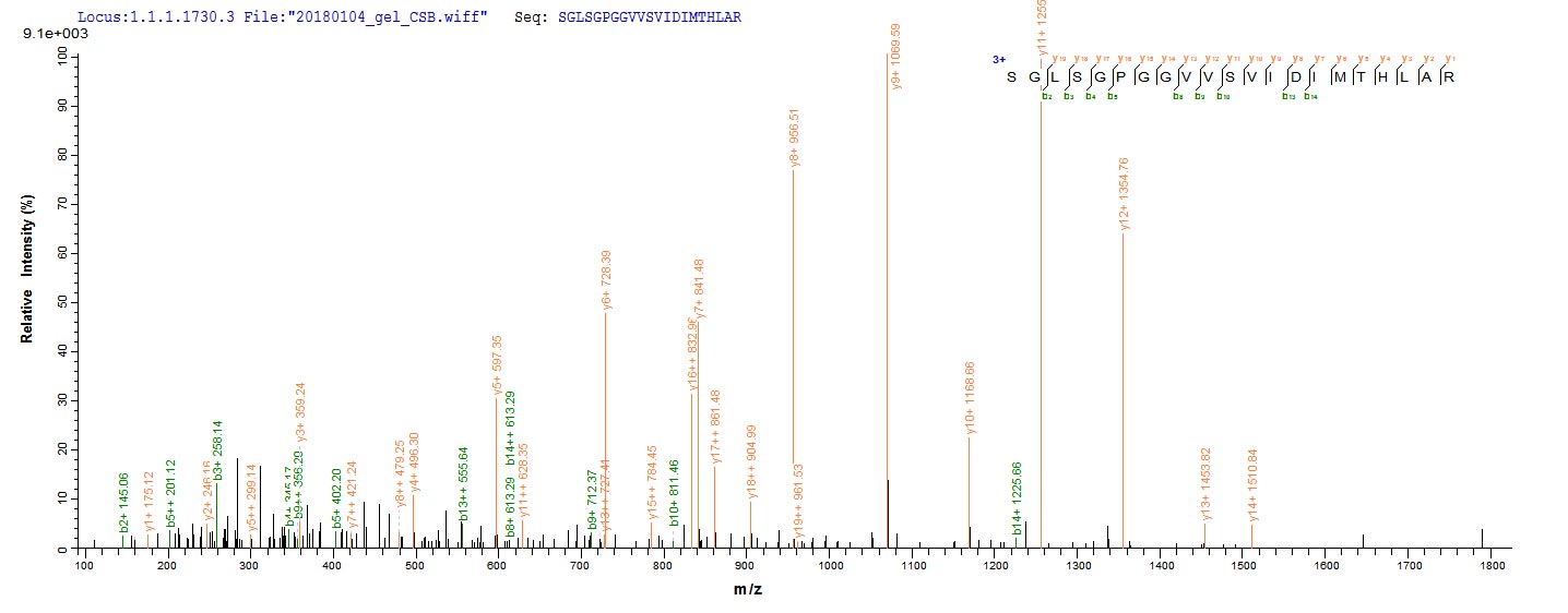 LC-MS Analysis 2- Recombinant protein Giardia GL50803_103887