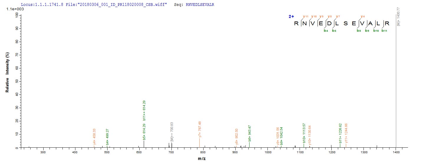 LC-MS Analysis 2- Recombinant protein Escherichia lldD