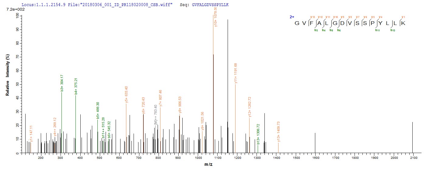LC-MS Analysis 2- Recombinant protein Mycobacterium mtr