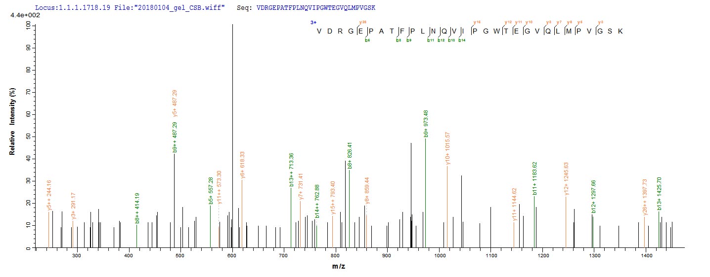 LC-MS Analysis 1- Recombinant protein Aeromonas fkpA