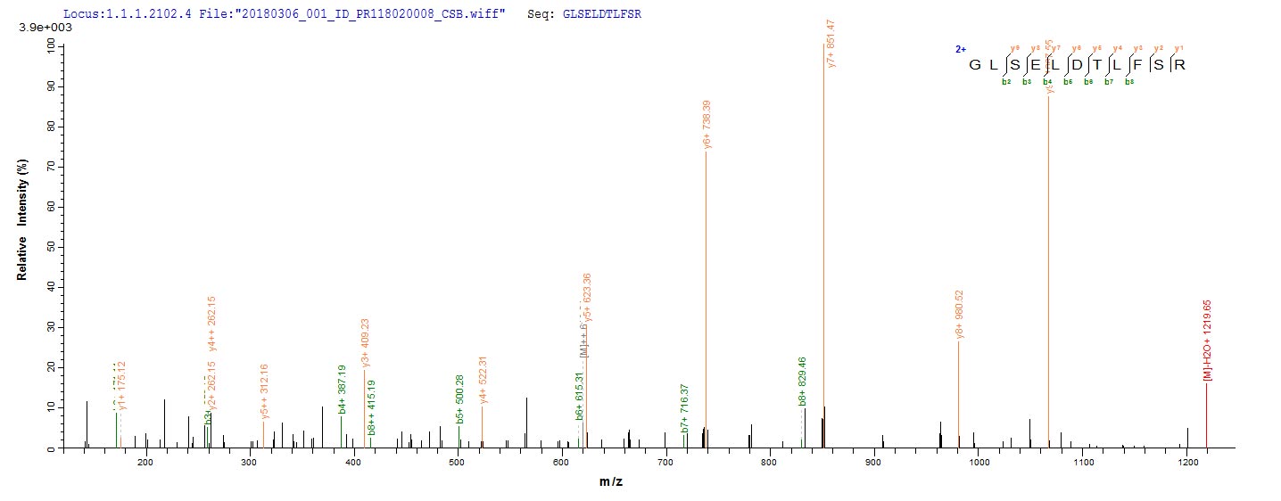 LC-MS Analysis 2- Recombinant protein Human UL111A