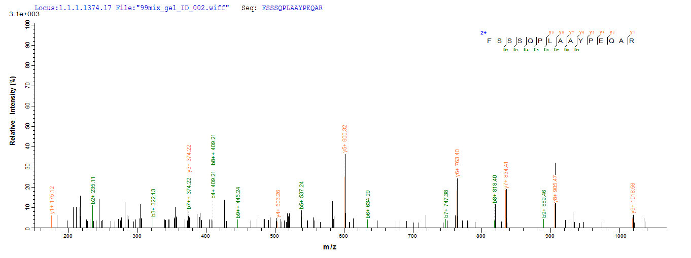 LC-MS Analysis 1- Recombinant protein Alginate algL