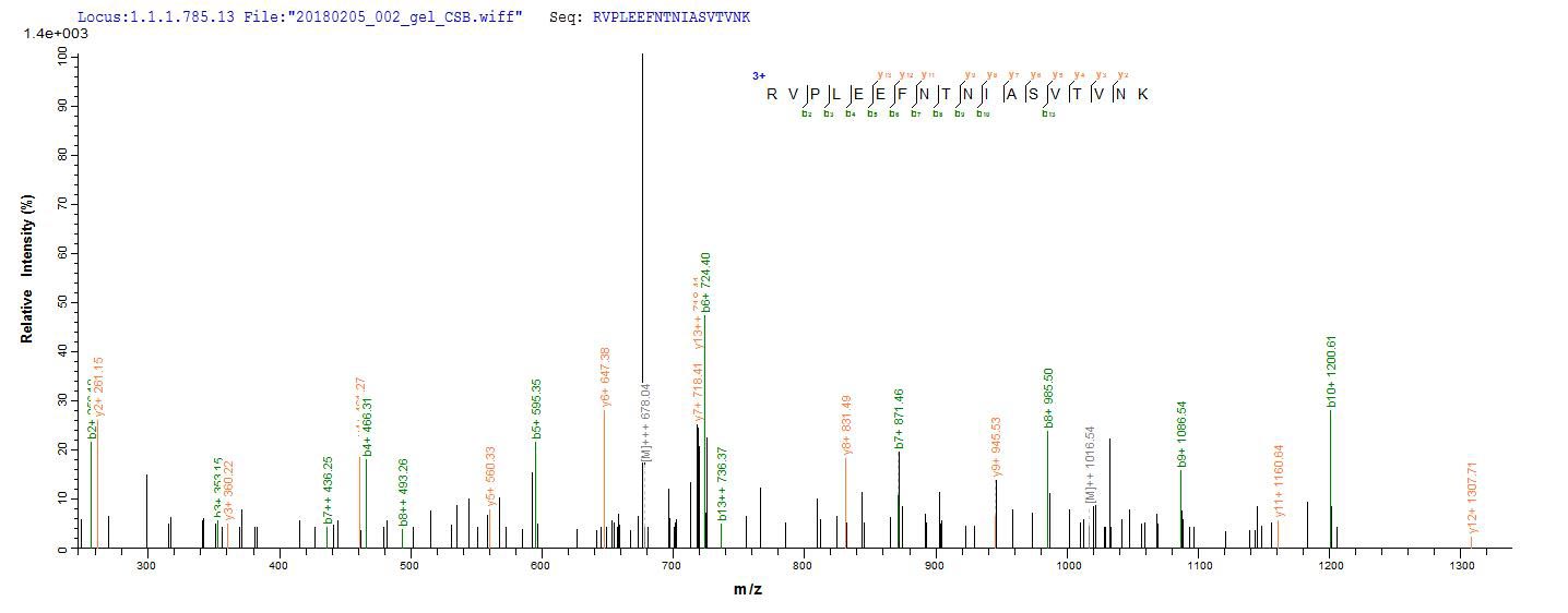 LC-MS Analysis 1- Recombinant protein Clostridium botB
