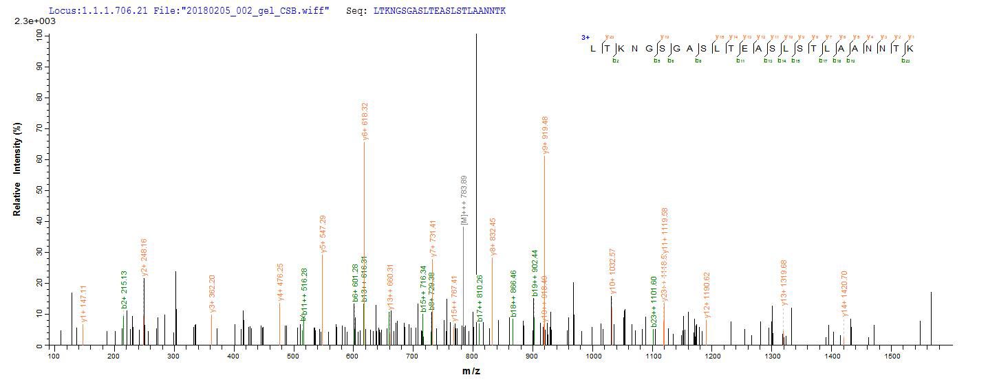 LC-MS Analysis 1- Recombinant protein Shigella fliC