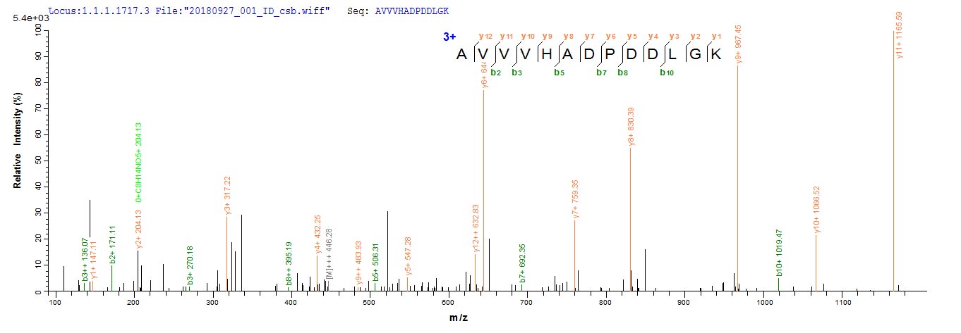 Based on the SEQUEST from database of E.coli host and target protein, the LC-MS/MS Analysis result of CSB-EP619615DOY could indicate that this peptide derived from E.coli-expressed Aspergillus japonicus sodC.