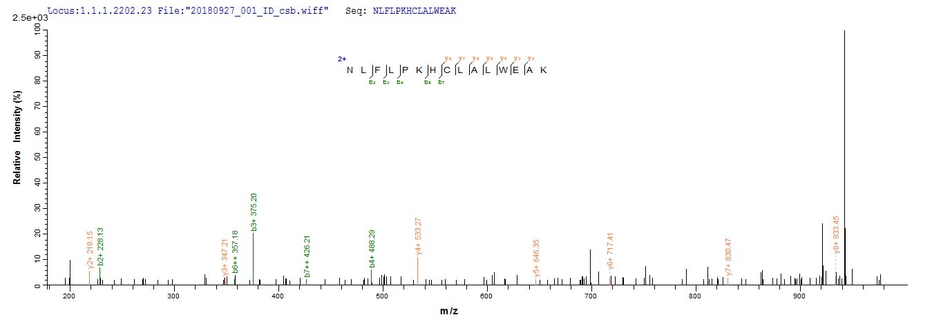 Based on the SEQUEST from database of E.coli host and target protein, the LC-MS/MS Analysis result of CSB-EP678395MO could indicate that this peptide derived from E.coli-expressed Mus musculus (Mouse) Tet2. Based on the SEQUEST from database of E.coli host and target protein, the LC-MS/MS Analysis result of CSB-EP678395MO could indicate that this peptide derived from E.coli-expressed Mus musculus (Mouse) Tet2.