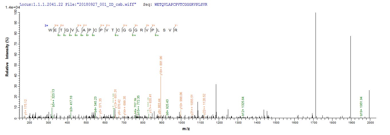 Based on the SEQUEST from database of E.coli host and target protein, the LC-MS/MS Analysis result of CSB-EP745079MO could indicate that this peptide derived from E.coli-expressed Mus musculus (Mouse) Adamts13. Based on the SEQUEST from database of E.coli host and target protein, the LC-MS/MS Analysis result of CSB-EP745079MO could indicate that this peptide derived from E.coli-expressed Mus musculus (Mouse) Adamts13.
