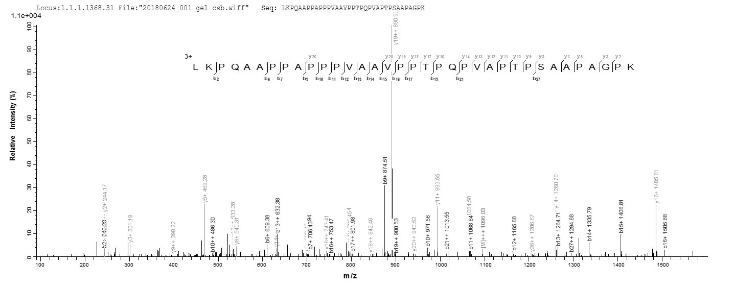 CSB-EP804374MOa0 LC-MS/MS-1