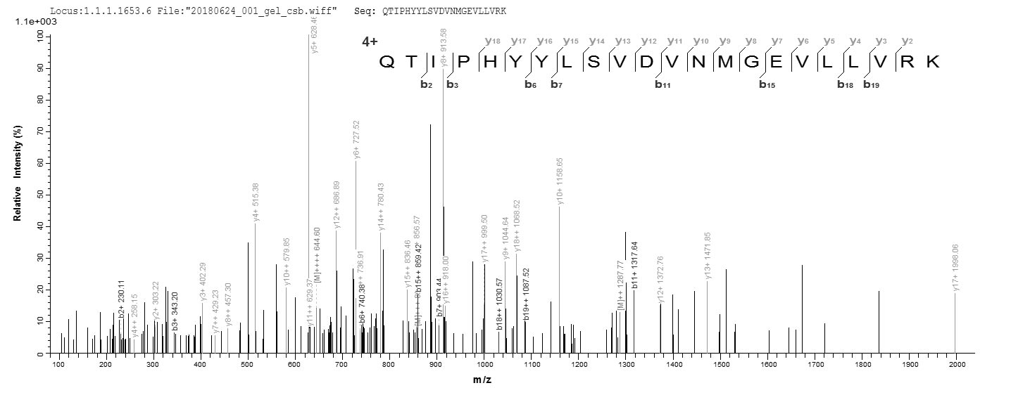 CSB-EP804374MOa0 LC-MS/MS-2