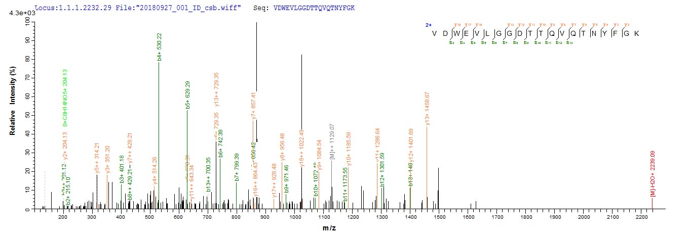 Based on the SEQUEST from database of E.coli host and target protein, the LC-MS/MS Analysis result of CSB-EP818279NGS1 could indicate that this peptide derived from E.coli-expressed Neosartorya fumigata (strain ATCC MYA-4609 / Af293 / CBS 101355 / FGSC A1100) (Aspergillus fumigatus) crf1.