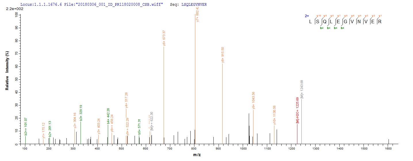 CSB-EP839401HU