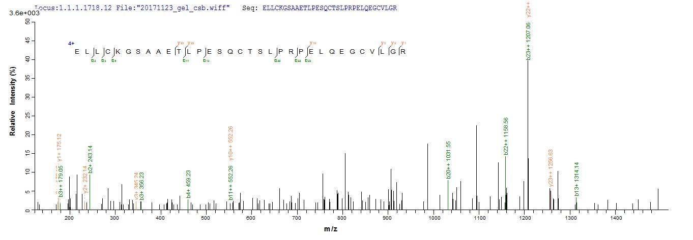 LC-MS Analysis 1- Recombinant protein Human ADAMTS18