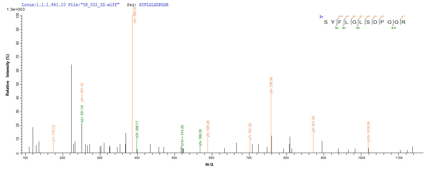 LC-MS Analysis 1- Recombinant protein Human CLEC4C