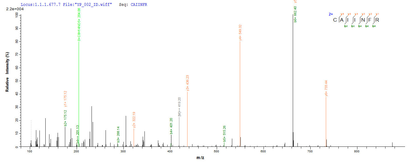 LC-MS Analysis 2- Recombinant protein Human CLEC4C