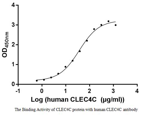 Activity assay of CSB-EP855470HU