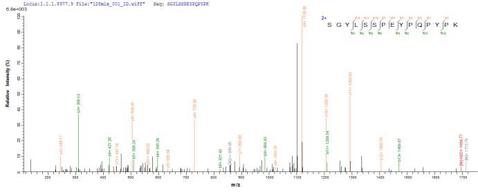 LC-MS Analysis 1- Recombinant protein Mouse Masp2
