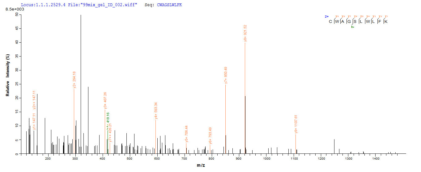 LC-MS Analysis 2- Recombinant protein Human WDR77