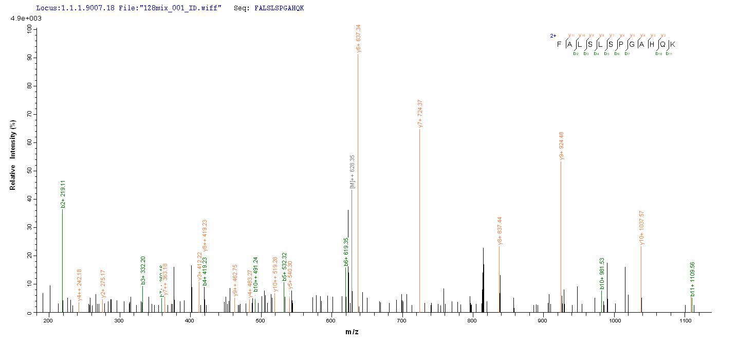 Based on the SEQUEST from database of E.coli host and target protein, the LC-MS/MS Analysis result of CSB-EP859945HU could indicate that this peptide derived from E.coli-expressed Homo sapiens (Human) MYD88. Based on the SEQUEST from database of E.coli host and target protein, the LC-MS/MS Analysis result of CSB-EP859945HU could indicate that this peptide derived from E.coli-expressed Homo sapiens (Human) MYD88.