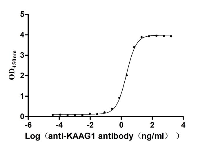 Recombinant Human Kidney-associated antigen 1 (KAAG1) (Active) - image 2