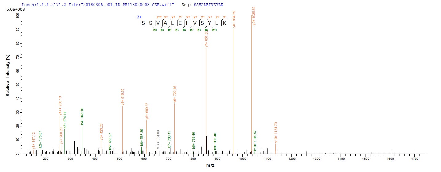 LC-MS Analysis 2- Recombinant protein Neisseria nadA