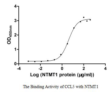 binding activity- Recombinant protein Human NTMT1