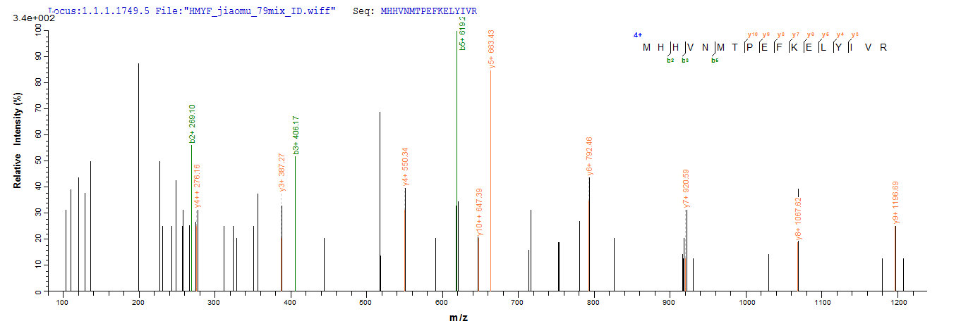 LC-MS Analysis 2- Recombinant protein Human IFIH1