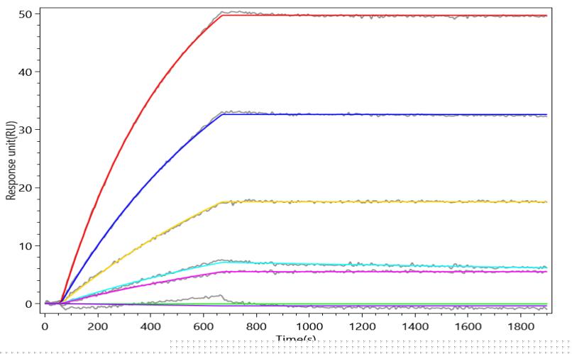 CSB-MP002207HU(A4)-D AC2