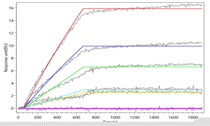 CSB-MP002207RA1b0 AC2