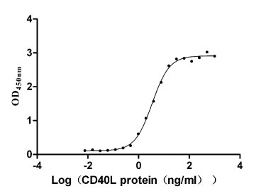 CSB-MP004936HU1 ELISA