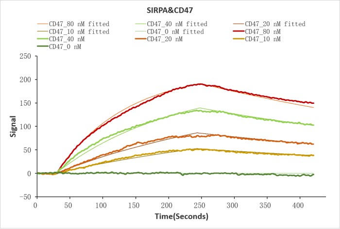 CSB-MP004940HU HPLC