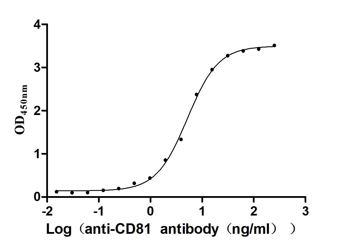 Excellent Bioactivity Validated by Functional ELISA