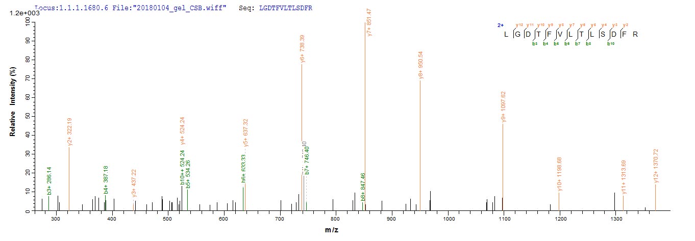 LC-MS Analysis 1- Recombinant protein Human CD8A
