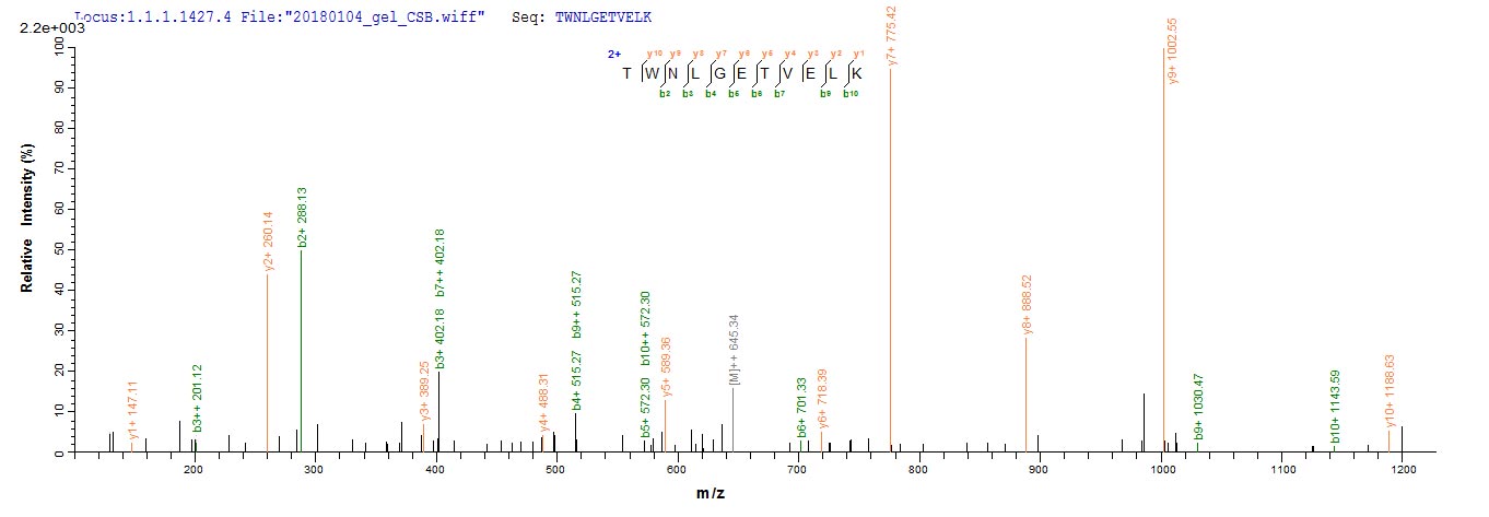 LC-MS Analysis 2- Recombinant protein Human CD8A