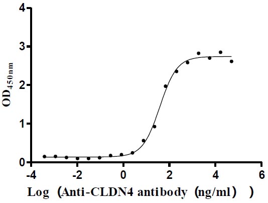 CSB-MP005506HU ELISA