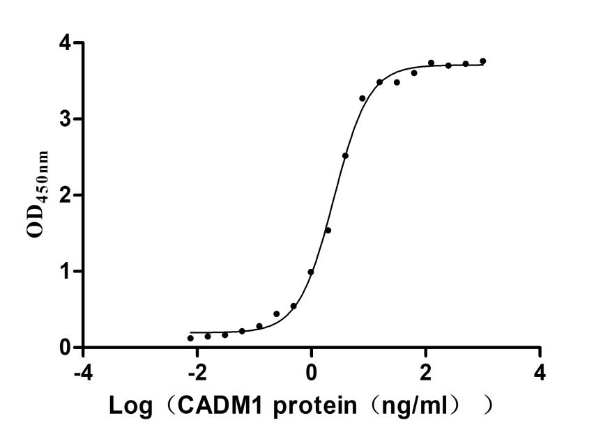 Excellent Bioactivity Validated by Functional ELISA