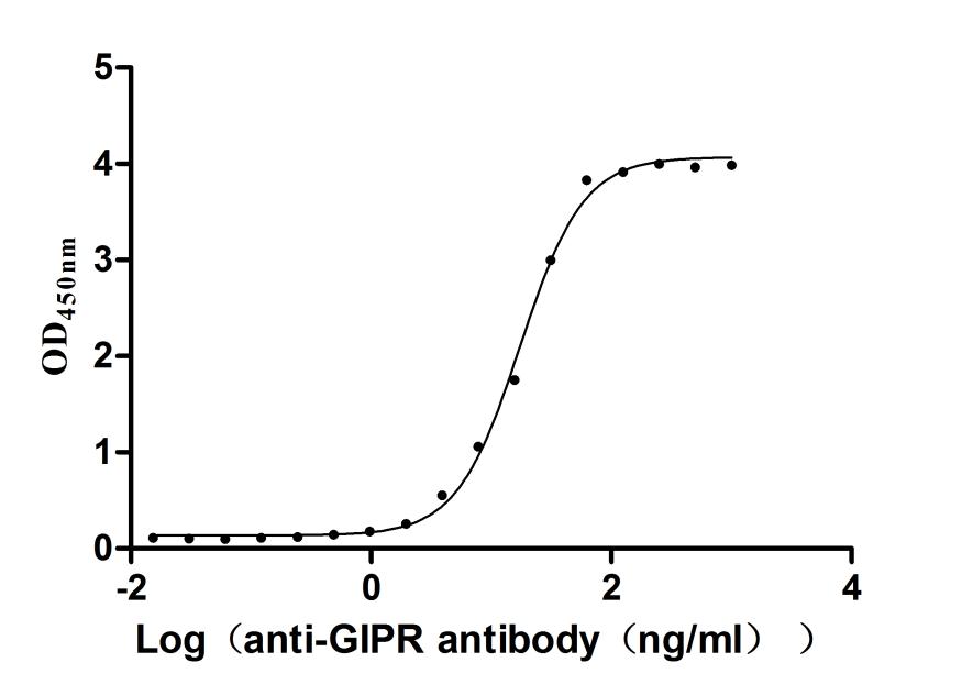 Recombinant Human Gastric inhibitory polypeptide receptor (GIPR) , partial (Active) - image 2