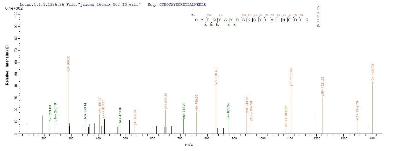 CSB-MP010509HU LC-MS/MS-1