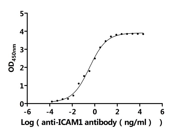 CSB-MP010949HU