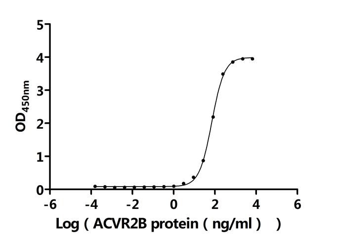 CSB-MP015057HU(A4) AC1