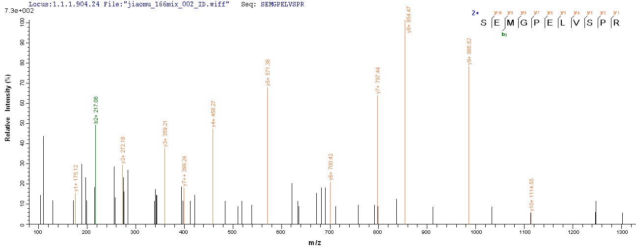 LC-MS Analysis 2- Recombinant protein Human NPHS1
