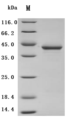 CSB-MP018987MOV SDS