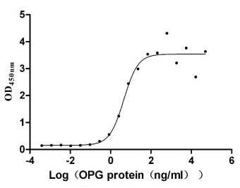 High Purity Validated of CSB-MP023969HU