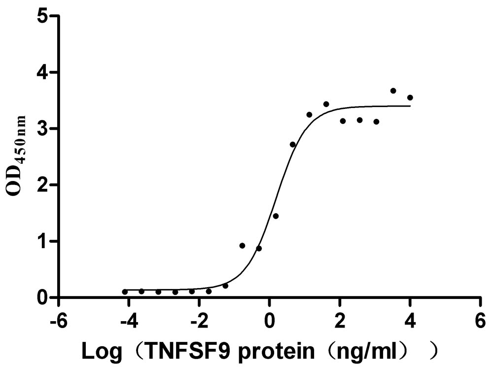 High Purity Validated of CSB-MP023984HU1