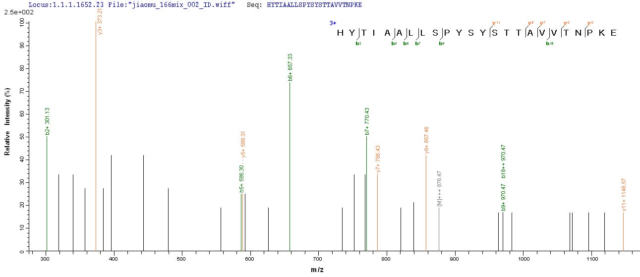 LC-MS Analysis 1- Recombinant protein Macaca TTR
