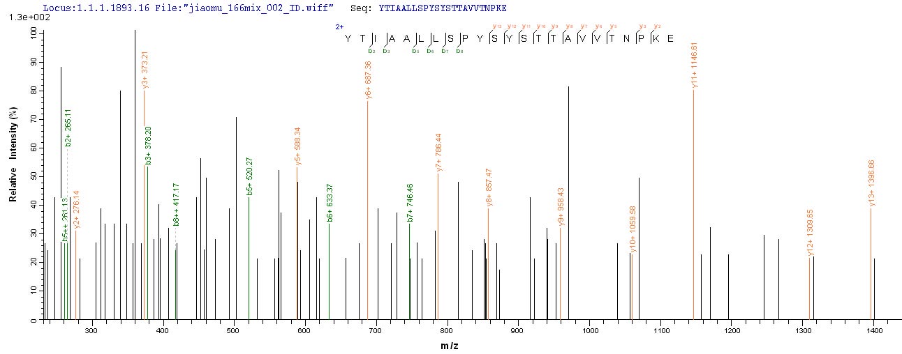 LC-MS Analysis 2- Recombinant protein Macaca TTR