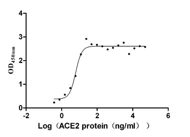 CSB-MP348663HQE ELISA-2