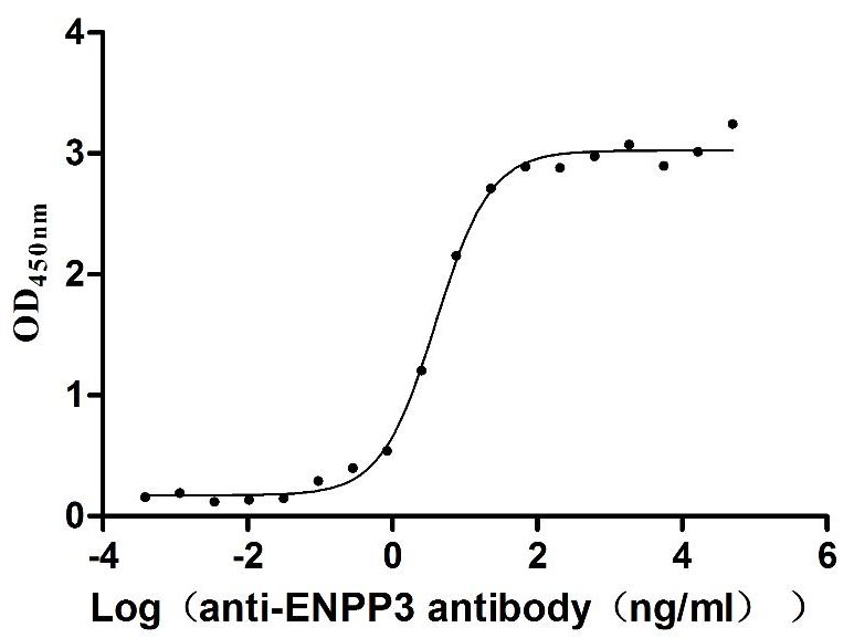 High Purity Validated of CSB-MP4278MOV