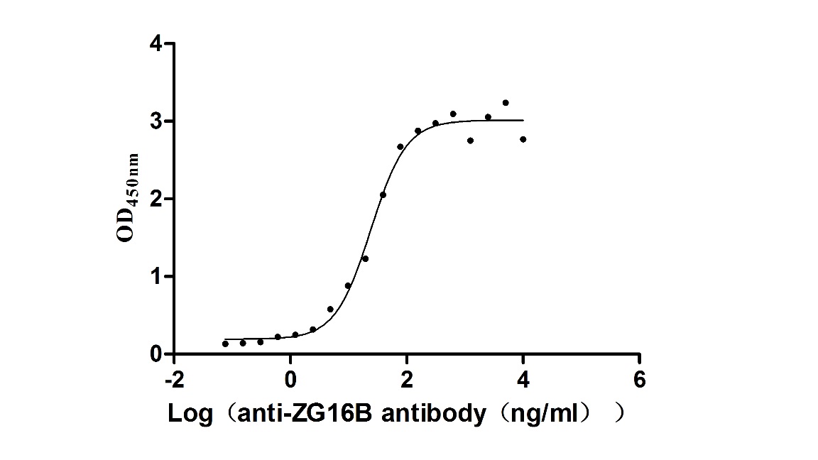 Activity assay of CSB-MP4727MOV