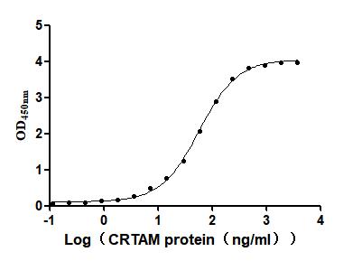 Excellent Bioactivity Validated by Functional ELISA